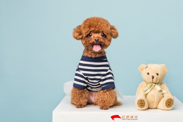 疫情期間香港商品如何轉運到河南商丘呢？